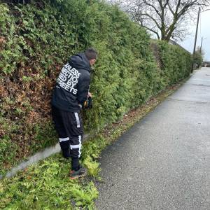 Zapušteno dvorište? Previsoka trava? Trebate drva za zimu? Nazovite!