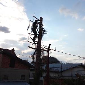 Zapušteno dvorište? Previsoka trava? Trebate drva za zimu? Nazovite!