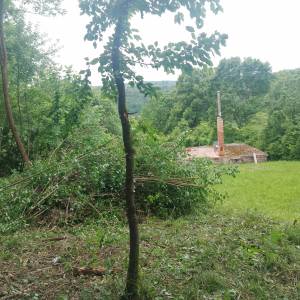 Zapušteno dvorište? Previsoka trava? Trebate drva za zimu? Nazovite!