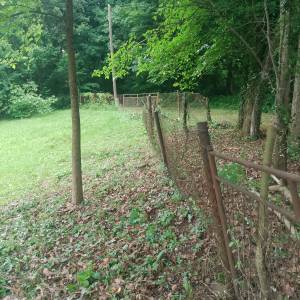 Zapušteno dvorište? Previsoka trava? Trebate drva za zimu? Nazovite!