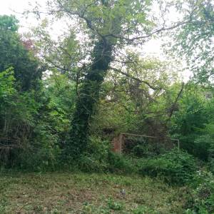 Zapušteno dvorište? Previsoka trava? Trebate drva za zimu? Nazovite!