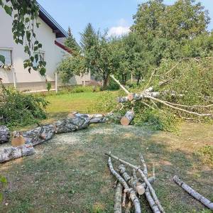 Zapušteno dvorište? Previsoka trava? Trebate drva za zimu? Nazovite!