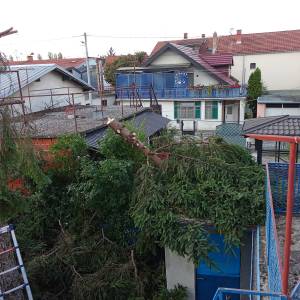 Zapušteno dvorište? Previsoka trava? Trebate drva za zimu? Nazovite!