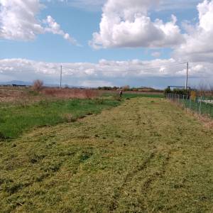 Zapušteno dvorište? Previsoka trava? Trebate drva za zimu? Nazovite!