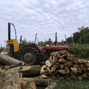 Zapušteno dvorište? Previsoka trava? Trebate drva za zimu? Nazovite!