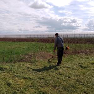 Zapušteno dvorište? Previsoka trava? Trebate drva za zimu? Nazovite!