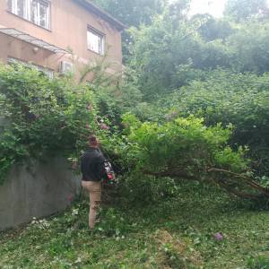 Zapušteno dvorište? Previsoka trava? Trebate drva za zimu? Nazovite!