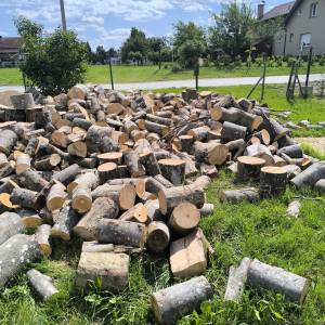 Zapušteno dvorište? Previsoka trava? Trebate drva za zimu? Nazovite –