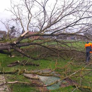 Zapušteno dvorište? Previsoka trava? Trebate drva za zimu? Nazovite –