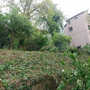 Zapušteno dvorište? Previsoka trava? Trebate drva za zimu? Nazovite –