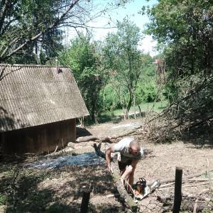 Zapušteno dvorište? Previsoka trava? Trebate drva za zimu? Nazovite –