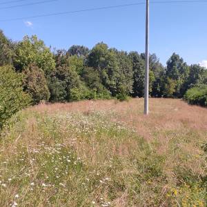 Zemljište za vikendaše, vodi se kao šuma 1603 m2,100 metara od Kupe