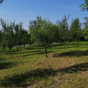 Zemljište u građevinskoj zoni