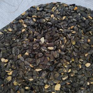 Bucino ulje i kostice golice