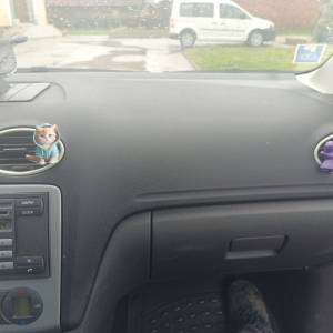 ford focus 1.6 TDCi moguća zamjena