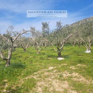 Građevinsko zemljište, Trogir, 1.600m²