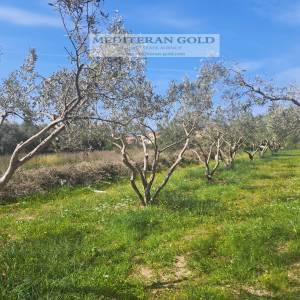 Građevinsko zemljište, Trogir, 1.600m²