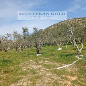 Građevinsko zemljište, Trogir, 1.600m²