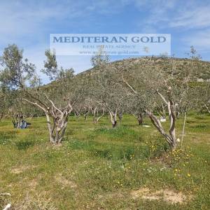 Građevinsko zemljište, Trogir, 1.600m²