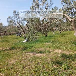 Građevinsko zemljište, Trogir, 1.600m²