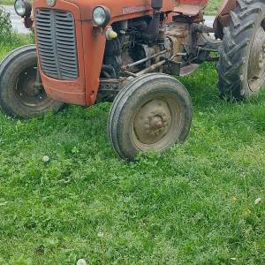 IMT 539 registriran.3/27 VELIKI GRĐEVAC