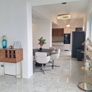 IZNAJMLJUJE SE LUKSUZNI STAN U ZAGREBU ( BIJENIK )