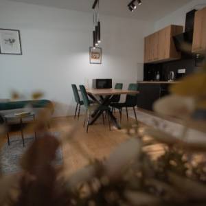 IZNAJMLJUJE SE STAN U OSIJEKU