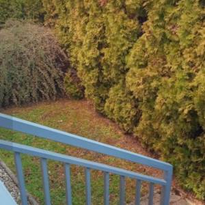 IZNAJMLJUJE SE STAN U ZAGREBU NA GORNJEM BUKOVCU