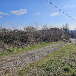 KOŠNJA TRAVE, ŠIŠANJE ŽIVICA, RUŠANJE STABALA, ODVOZ ZELENOG OTPADA