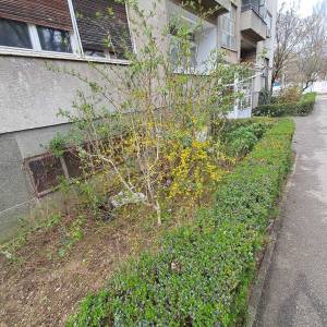 KOŠNJA TRAVE, ŠIŠANJE ŽIVICA, RUŠANJE STABALA, ODVOZ ZELENOG OTPADA