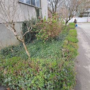 KOŠNJA TRAVE, ŠIŠANJE ŽIVICA, RUŠANJE STABALA, ODVOZ ZELENOG OTPADA