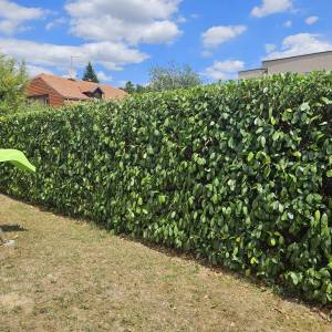 KOŠNJA TRAVE, ŠIŠANJE ŽIVICA, RUŠANJE STABALA, ODVOZ ZELENOG OTPADA