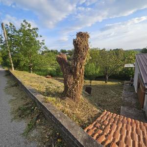 KOŠNJA TRAVE, ŠIŠANJE ŽIVICA, RUŠANJE STABALA, ODVOZ ZELENOG OTPADA