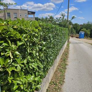 KOŠNJA TRAVE, ŠIŠANJE ŽIVICA, RUŠANJE STABALA, ODVOZ ZELENOG OTPADA