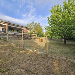 KOŠNJA TRAVE, ŠIŠANJE ŽIVICA, RUŠANJE STABALA, ODVOZ ZELENOG OTPADA