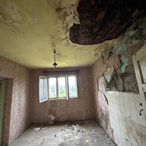 Kuća na prodaju sa voćnjakom, poljoprivrednim zemljištem i šumom