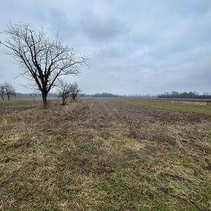 Kuća na prodaju sa voćnjakom, poljoprivrednim zemljištem i šumom