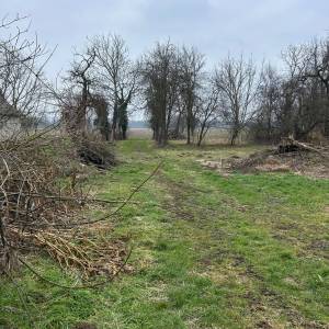 Kuća na prodaju sa voćnjakom, poljoprivrednim zemljištem i šumom