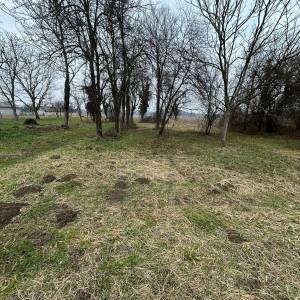 Kuća na prodaju sa voćnjakom, poljoprivrednim zemljištem i šumom