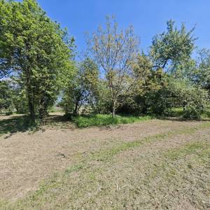 Kuća sa voćnjakom, poljoprivrednim zemljištem i šumom , 34 000 m2