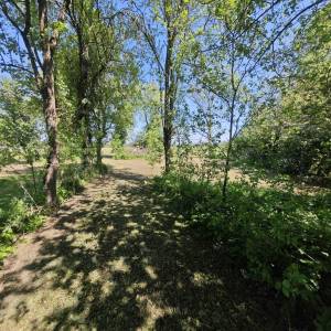 Kuća sa voćnjakom, poljoprivrednim zemljištem i šumom , 34 000 m2