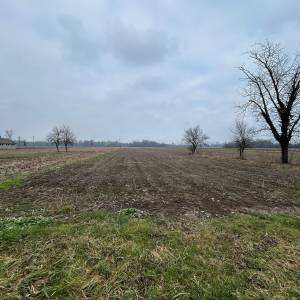 Kuća sa voćnjakom, poljoprivrednim zemljištem i šumom , 34 000 m2