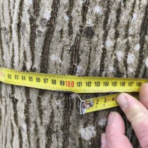 PRODAJA ŠUME / POLJOPRIVREDNOG ZEMLJIŠTA moguca zamjena