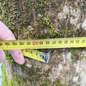 PRODAJA ŠUME / POLJOPRIVREDNOG ZEMLJIŠTA moguca zamjena