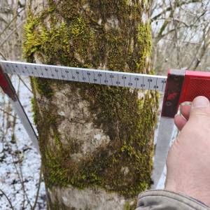 PRODAJA ŠUME / POLJOPRIVREDNOG ZEMLJIŠTA moguca zamjena