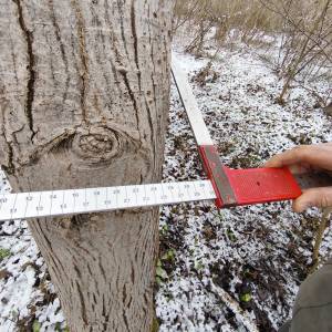 PRODAJA ŠUME / POLJOPRIVREDNOG ZEMLJIŠTA moguca zamjena