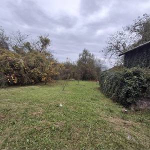 Prodajem kuću sa okućnicom