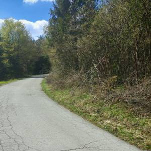 Prodajem povoljno šumu i livade