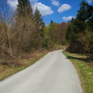 Prodajem povoljno šumu i livade
