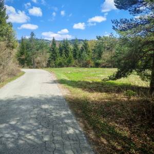 Prodajem povoljno šumu i livade